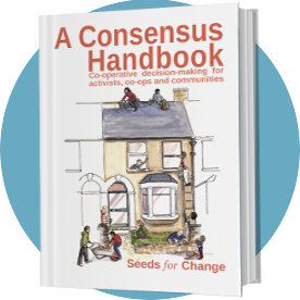 Cover of A Consensus Handbook